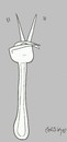 Cartoon: hunger (small) by yasar kemal turan tagged fork vsign hunger