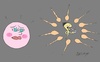 Cartoon: give up (small) by yasar kemal turan tagged give,up,sperm,egg,intellectual