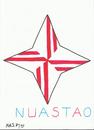 Cartoon: NuAsTaO (small) by yasar kemal turan tagged nuastao