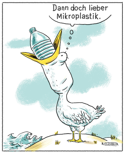 Mikroplastik