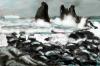 Cartoon: Nordmeer (small) by Lutz-i tagged norwegen,wasser,klippen,natur