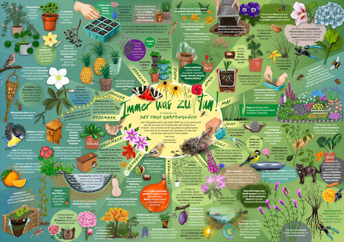 Cartoon: 365 Tage Gartenglück (medium) by alesza tagged garden,gardening,home,outdoors,flowers,green,year,happiness
