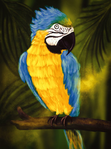Cartoon: Ara (medium) by alesza tagged ara,parrot,bird,animal,jungle,nature,colorful,yellow,blue,beak,painting,illustration,ipadart,procreate