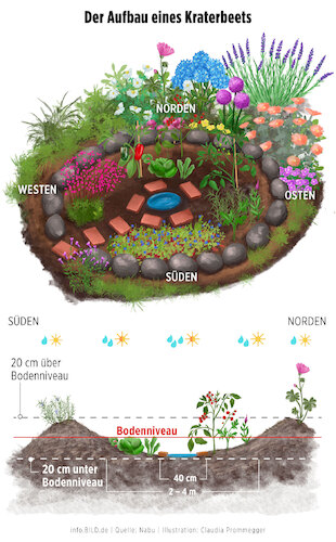 Cartoon: Aufbau eines Kraterbeets (medium) by alesza tagged kraterbeet,beet,garten,procreate,aufbau,querschnitt,heimwerken,diy,gärtnern,werkeln,garteln