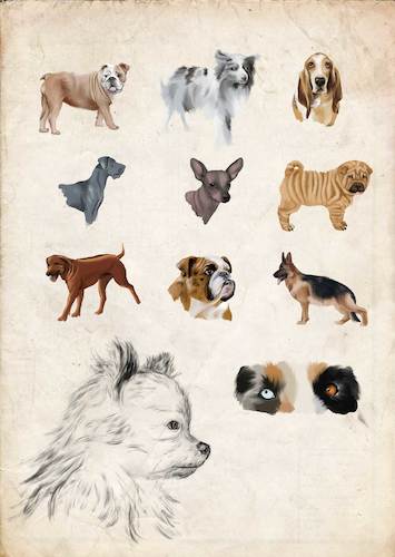 Cartoon: Hunde - Dogs (medium) by alesza tagged hunde,dogs,animal,tiere,pet
