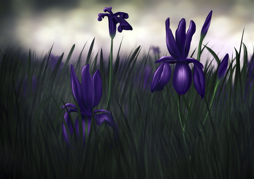 Cartoon: Schwertlilie (medium) by alesza tagged schwertlilie,iris,digital,art,painting,illustration,nature,flowers,meadow,unikatdesign