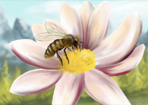 Cartoon: Weltbienentag (medium) by alesza tagged insect,bee,honeybee,honey,nature,flower,petal,daisy