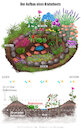 Cartoon: Aufbau eines Kraterbeets (small) by alesza tagged kraterbeet beet garten procreate aufbau querschnitt heimwerken diy gärtnern werkeln garteln