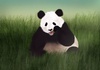 Cartoon: Hungry (small) by alesza tagged panda hungry