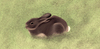 Cartoon: Silent Visitor (small) by alesza tagged rabbit campground silent visitor animal