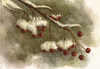 Cartoon: Wintereinbruch (small) by alesza tagged nature winter wintereinbruch schnee natur