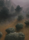 Cartoon: Wo die Berge namenlos sind (small) by alesza tagged mountains,fog,forest,scenery,nationalpark,mist,channelislands,santa,cruz,islands,california
