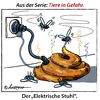 Cartoon: Gefährdete Tierwelt (small) by rpeter tagged tierwelt gefährdete fliege fliegen stuhl elektro gefahr