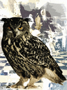 Cartoon: A Day for Night Bird (small) by Zoran Spasojevic tagged day,for,night,bird,birds,owl,serbia,kragujevac,emailart,paske,spasojevic,zoran,graffit,digital,collage