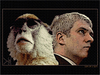 Cartoon: Contemplation (small) by Zoran Spasojevic tagged contemplation,monkey,emailart,zoran,spasojevic,digital,collage,paske,kragujevac,serbia