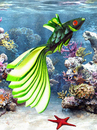 Cartoon: Sea cucumber on Serbian way (small) by Zoran Spasojevic tagged zoran,spasojevic,paske,kragujevac,serbia