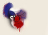 Cartoon: American Clown (small) by meiadoisa tagged clown,eua