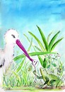 Cartoon: stork and frog (small) by Slawek11 tagged frog animals nature stork