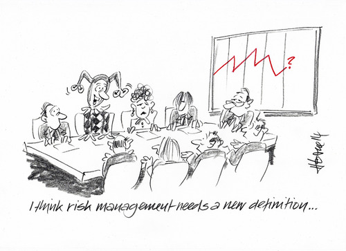 Risk Management By helmutk | Business Cartoon | TOONPOOL