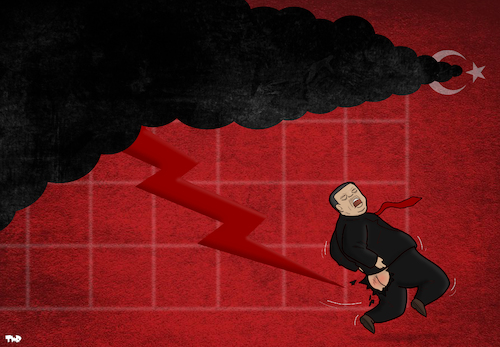 Erdogan and the Turkish Economy Erdogan and the Turkish Economy