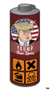Cartoon: American Hair Product (small) by Tjeerd Royaards tagged donald,trump,president,usa,republicans