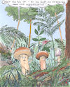 Cartoon: Pilz (small) by woessner tagged woessner,karikaturen,cartoons,sexualmoral,familie,angst,ängste,besorgnis,väterlich,mütterlich,verführung,bedrohung,botanik,botanisch,ungeschlechtliche,vermehrung,pilze,wald,waldpilze,pflanzen,pflanzenreich,sex,erotik,fortpflanzung,geschlechtlich,biologie,umwelt,biotop,ökologie,vater,mutter,kind