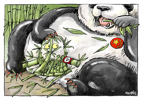 Bamboo Bamboo