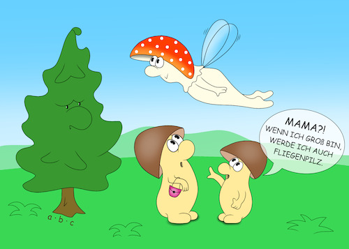 Fliegenpilz Fliegenpilz