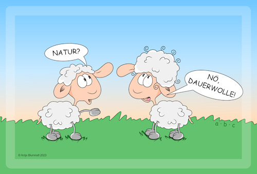 Haarschaf Haarschaf