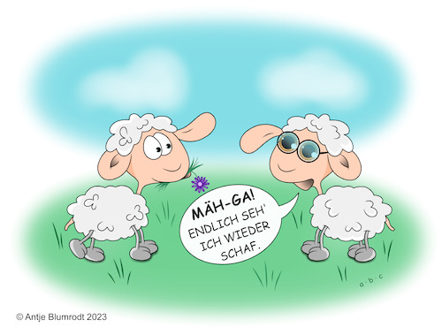 Schaf sehen Schaf sehen