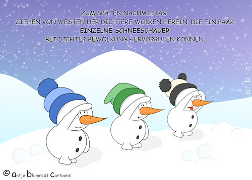 Schneeschauer Schneeschauer