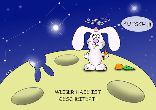 Weißer Hase Weißer Hase