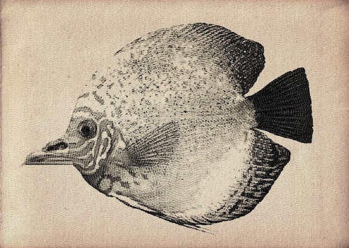 Cartoon: Fishes with beaks (medium) by chakhirov tagged fishes