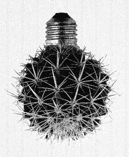 Cartoon: no title (medium) by chakhirov tagged cactus,bulb