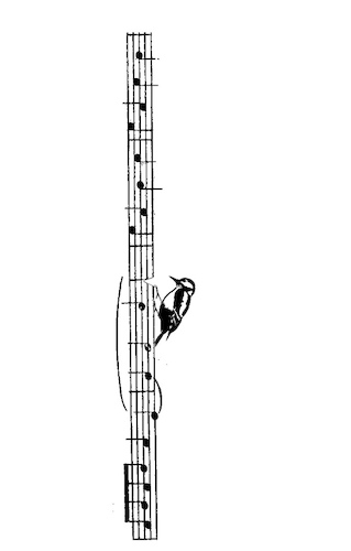 Cartoon: no title (medium) by chakhirov tagged woodpecker