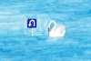 Cartoon: No title (small) by chakhirov tagged swan