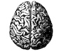 Cartoon: no title (small) by chakhirov tagged brain