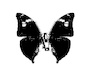 Cartoon: no title (small) by chakhirov tagged butterfly