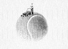 Cartoon: no title (small) by chakhirov tagged tennisball