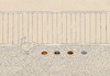 Cartoon: no title (small) by chakhirov tagged hen
