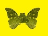 Cartoon: no title (small) by chakhirov tagged butterfly,frog