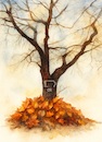 Cartoon: no title (small) by chakhirov tagged tree,autumn