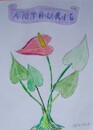 Cartoon: ANTHURIE Flamingoblume (small) by skätschup tagged blumen,blüten,pflanzen,lebewesen,sehen,erkennen,freude,haben