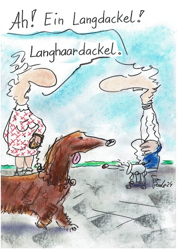 Cartoon: Dackel (medium) by TomPauLeser tagged dackel,langhaardackel,langhaar,hund,dachshund,teckel,experte,hundeexperte