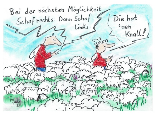 Cartoon: Hindernislauf (medium) by TomPauLeser tagged schaf,schafe,scharf,hindernislauf,hindernisparcours,parcoursschafherde,herde,gruppe,heide,heidschnucke,heidschnucken,wanderer,möglichkeit,navi,routenplaner,tourdaten,tourplan,wanderung,wandern