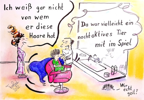 Cartoon: Igelfrisur (medium) by TomPauLeser tagged igelfrisur,friseur,salon,friseursalon,igel,nachtaktiv,tier,haareschneiden,kinderschnitt,spiegel,friseurspiegel,friseurstuhl,barbier,herrensalon,damensalon