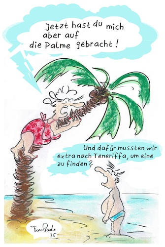Cartoon: Im Urlaub (medium) by TomPauLeser tagged palma,streit,auf,die,palmen,lapalma,schlapplachsachen,palmenstrand,satire,tompaule,urlaub,urlaubsziel,badehose,badeanzug