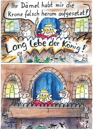 Cartoon: Lang lebe der König weiterhin (medium) by TomPauLeser tagged lang,lebe,der,könig,palast,schloß,burg,balon,brüstung,krönung,krone,zepter,volk,volksmenge,wachen,schergen,diamanten,goldkrone,altertümlich,königreich,speier,wasserspeier