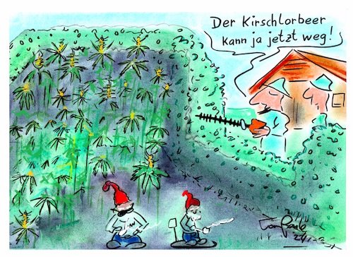 Cartoon: Licht ins Dunkle (medium) by TomPauLeser tagged kirschlorbeer,kirschlorbeerhecke,canabis,hecke,schrebergarten,hanf,hanfplantage,gartenschere,heckenschere,kleingarten,kleingartenanlage,hanfanbau,dunkel,hell,wachen,ernte,sonnenlicht,schatten