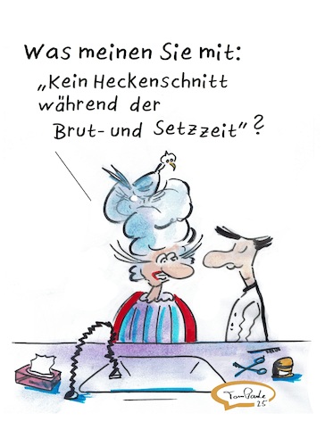 Cartoon: Neulich bei Barbier St Phan (medium) by TomPauLeser tagged barbier,friseur,hecke,heckenschnitt,taube,vogel,nest,schlapplachsachen,frisieren,salon,tompaule,satire,satirecartoon,friseursalon,dutt,brutzeit,barbiersalon,cartoon,nonsens,farce,satirekarikatur,setzzeit